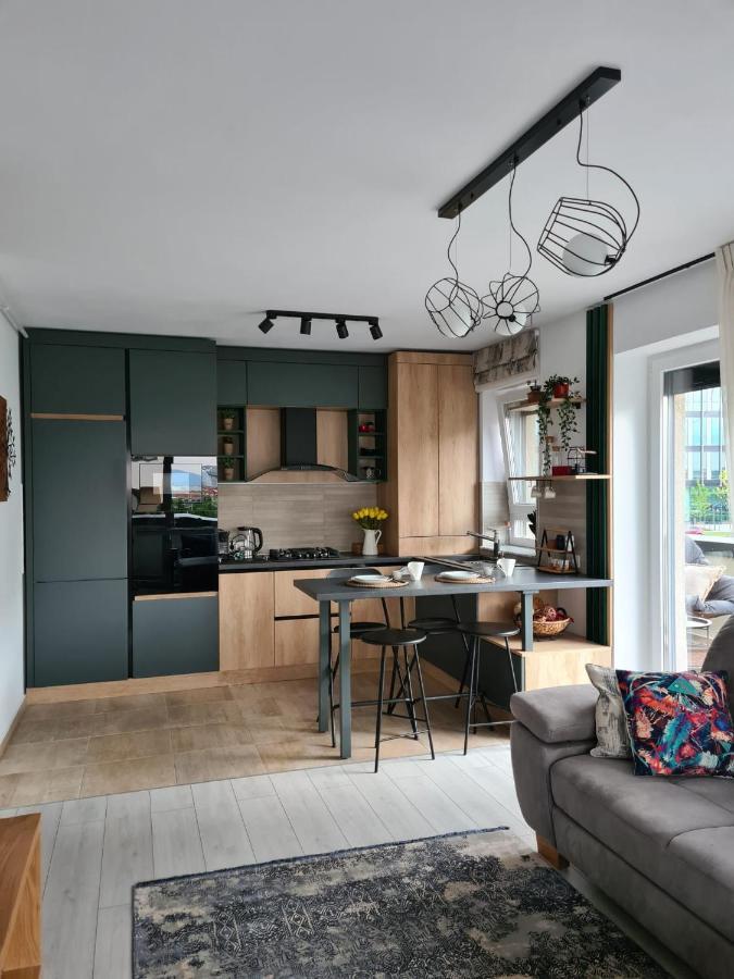 Tonic Studio Coresi Braşov Exteriör bild