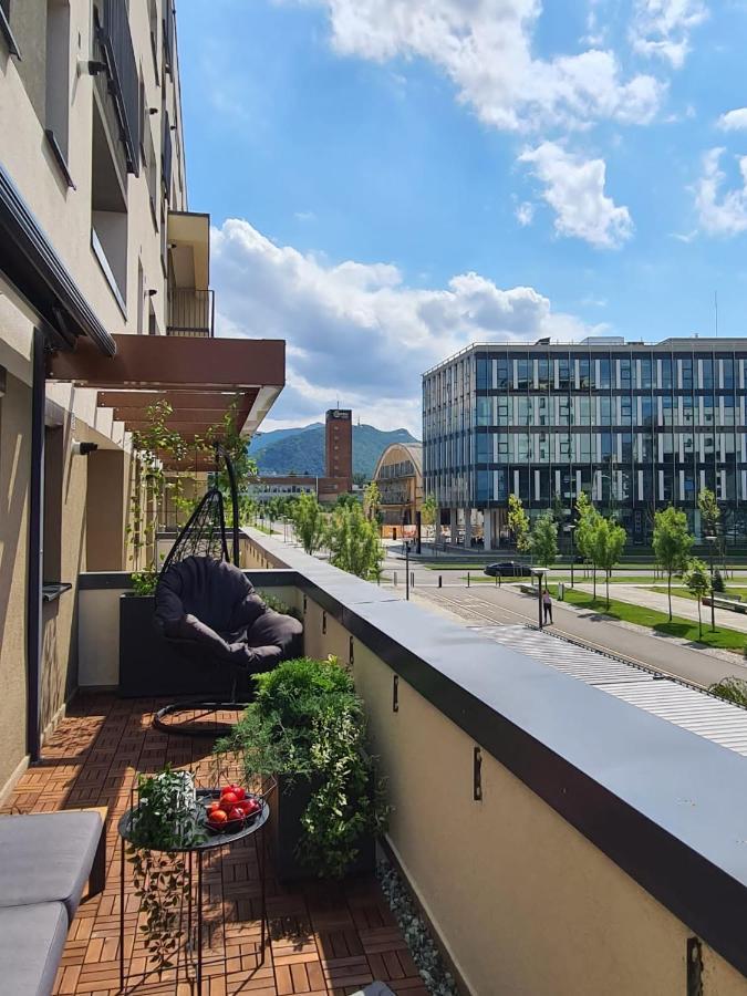 Tonic Studio Coresi Braşov Exteriör bild
